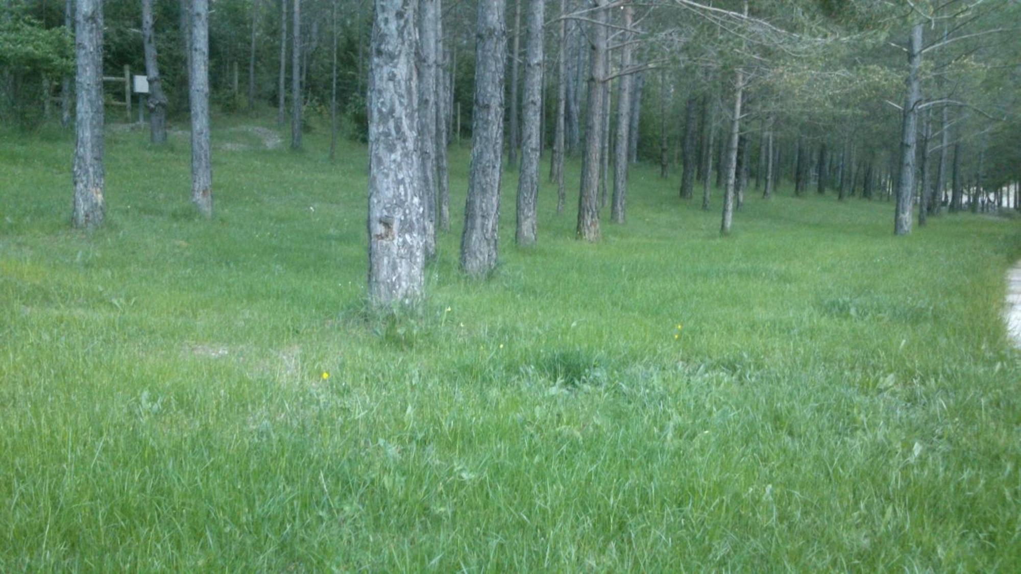 Camping L'Espelt La Pobla de Lillet Bagian luar foto