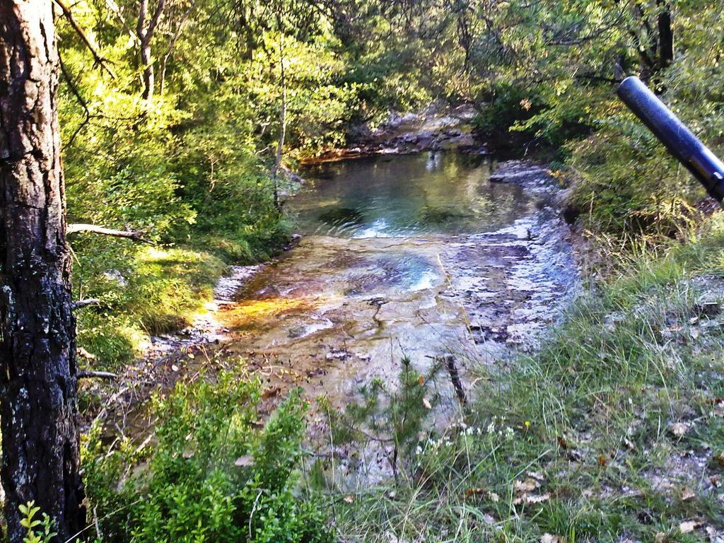 Camping L'Espelt La Pobla de Lillet Bagian luar foto